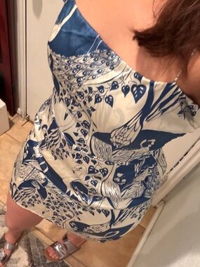 Reformation Blue and White Bird Printed silk Slip Dress